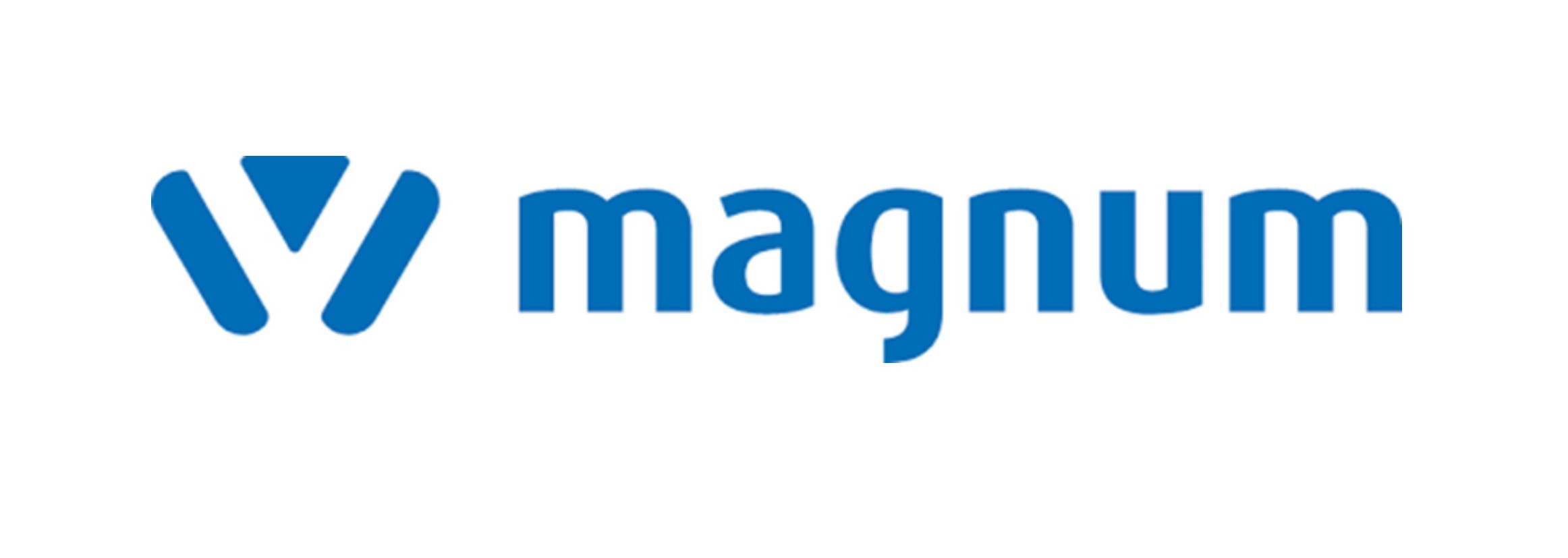 Silver Sponsor